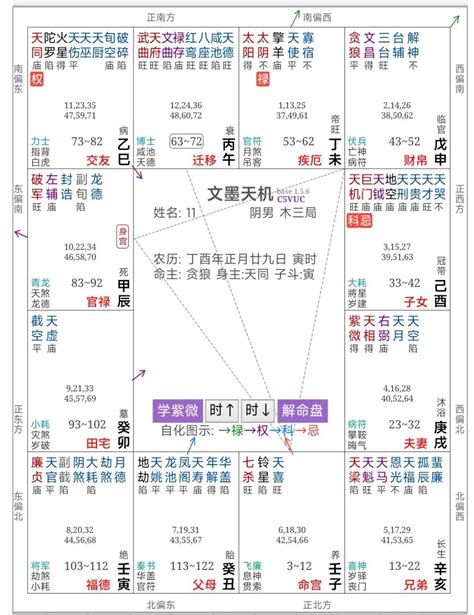 天羅地網格局|紫微命盤解析——紫微、天相在辰、戌